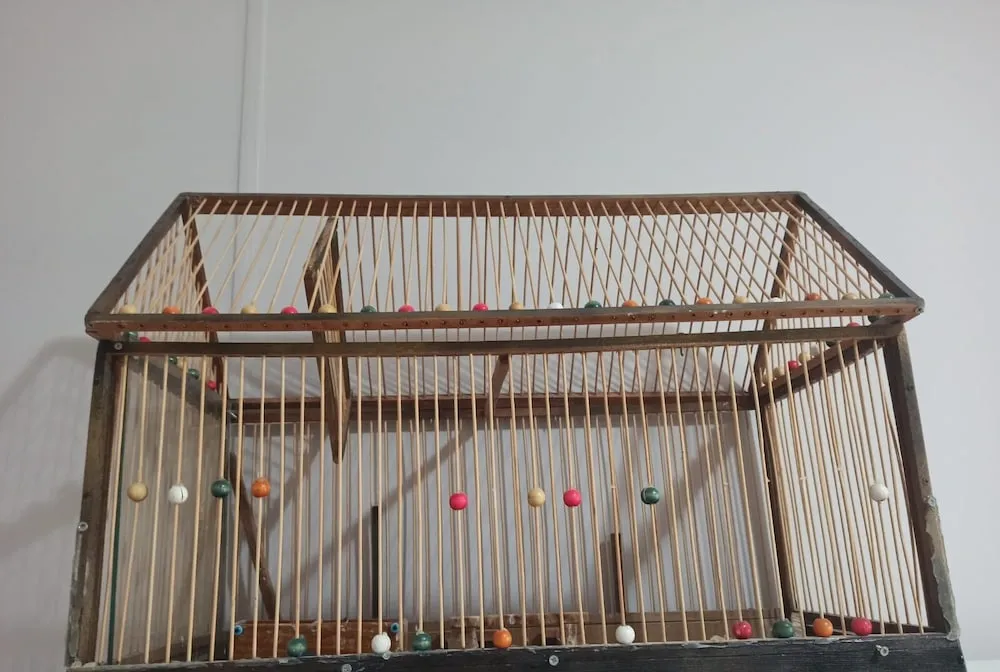 Family Kır Evi, 1 Yatak Odası, Bahçeli