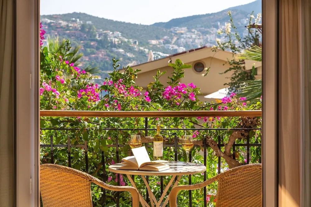 Standard Apartment No 4, 1 Bedroom, Balcony, Garden View