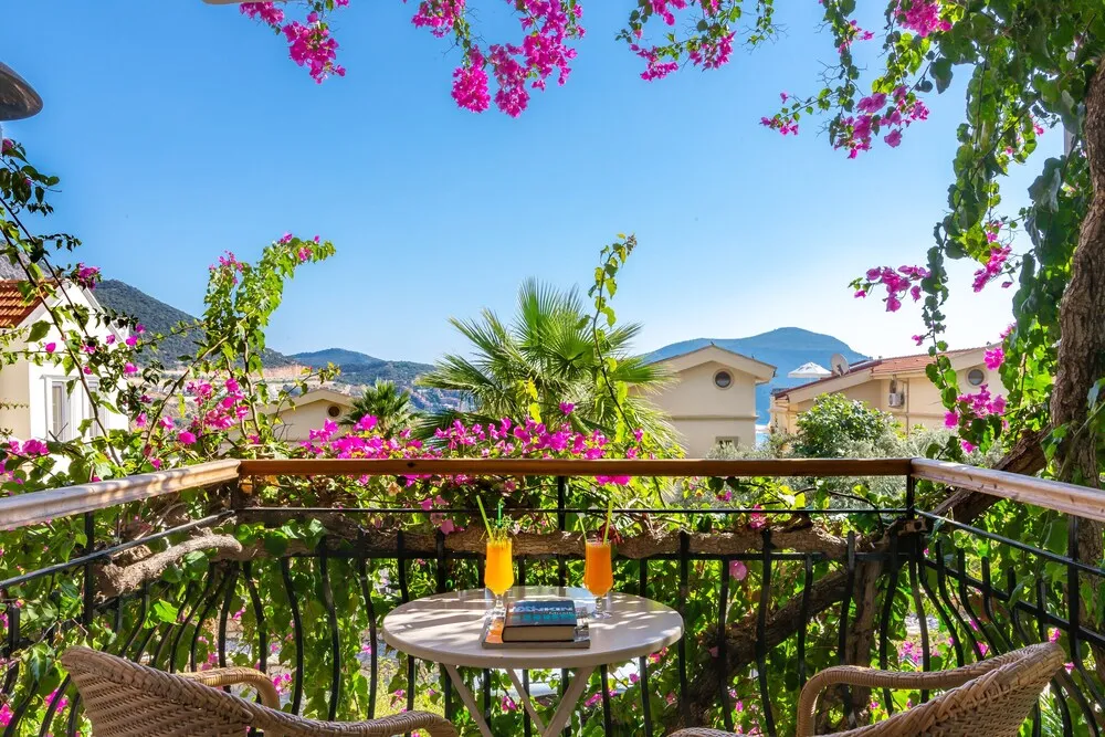 Standard Apartment No 3, 1 Bedroom, Balcony, Garden View