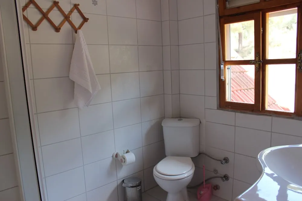 Süit