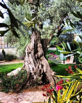 My Bungalov Otel