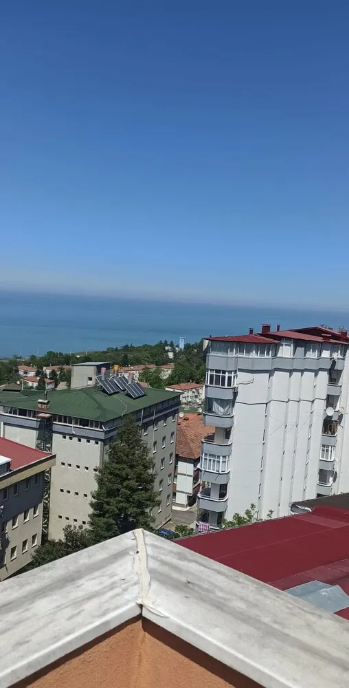 Basic Apart Daire, 1 Yatak Odası