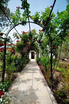 Olive Farm Of Datça