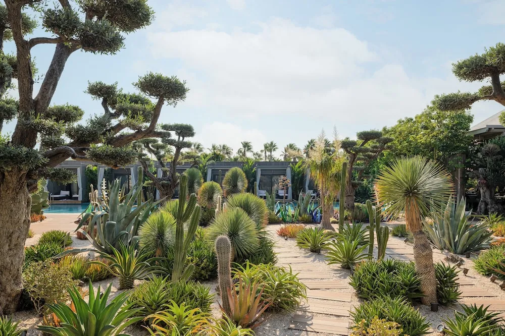 Laguna Suite Swim Up Terrace Adult Only