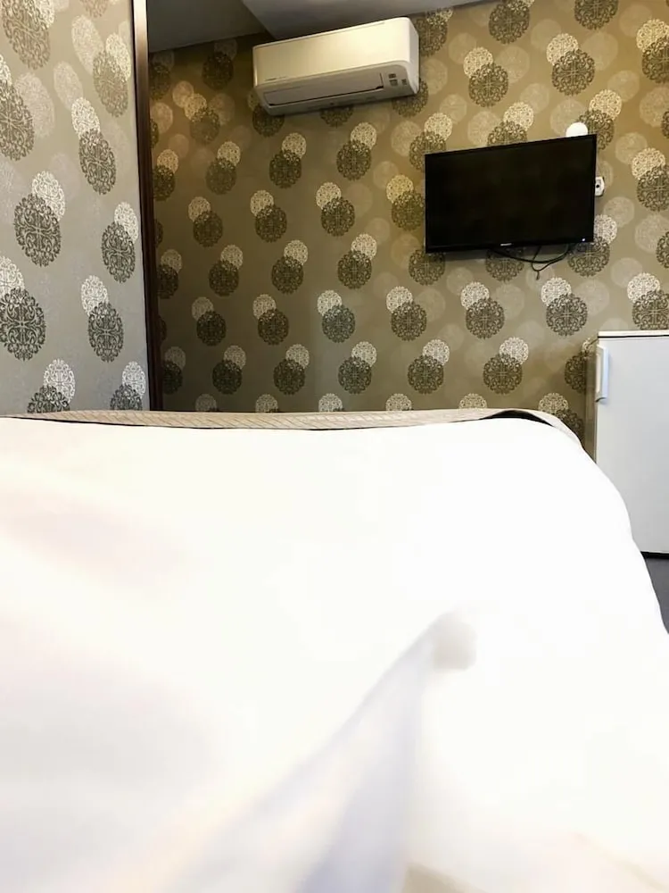 Standard Tek Kişilik Oda, 1 Çift Kişilik Yatak, Şehir Manzaralı