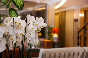 Almina Hotel - Special Class