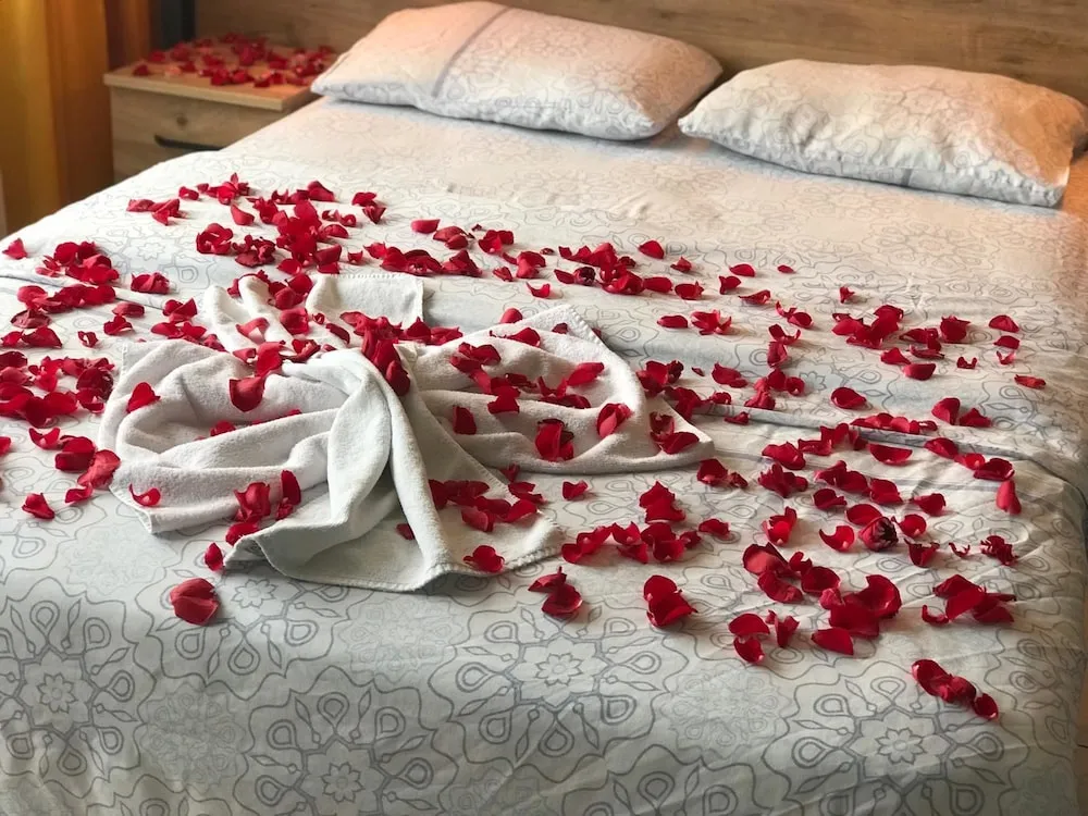 Süit, 1 Yatak Odası