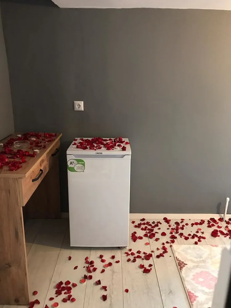 Süit, Teras (VIP)