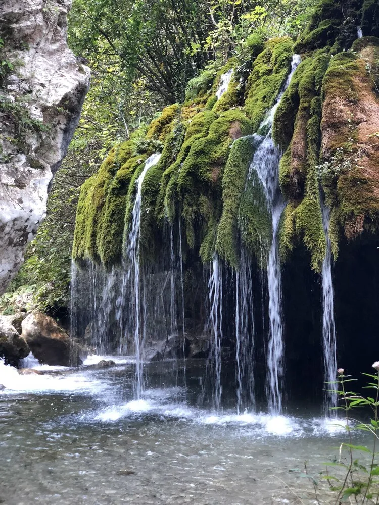 Ekoloji turları