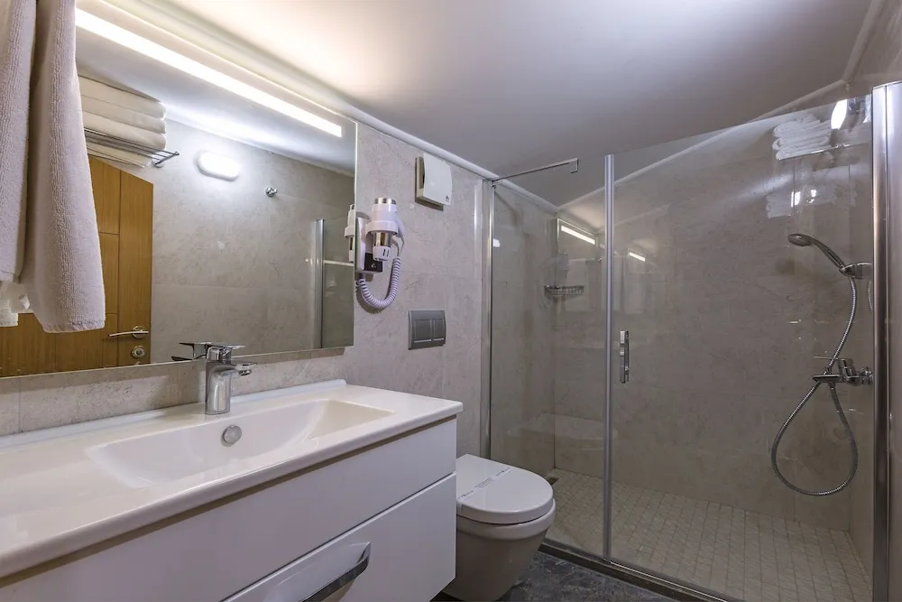 Superior Çatı Katı (Loft), Balkon, Şehir Manzaralı