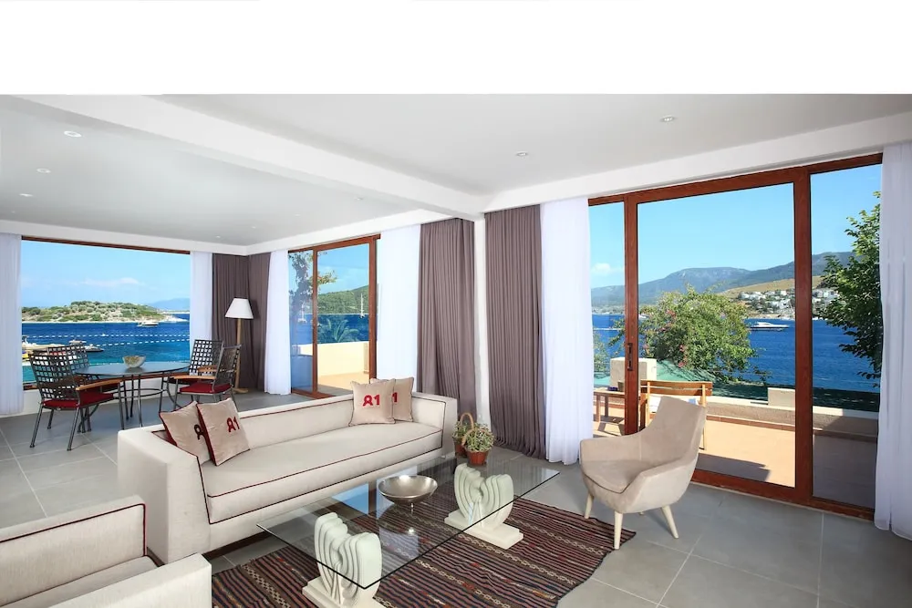 Suite 81