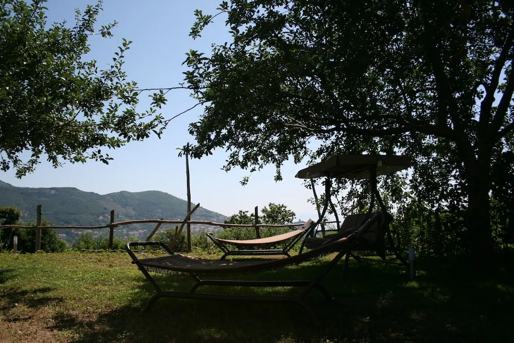Konaklama yeri alanı