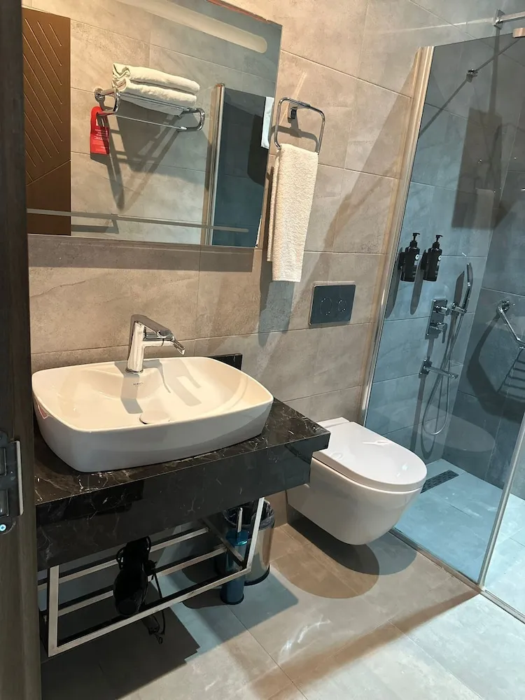 Oda, 1 Çift Kişilik Yatak, Engellilere Uygun, Sigara İçilebilir