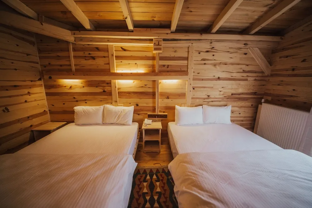 Standard Oda, 2 Çift Kişilik Yatak, Sigara İçilmez, Dağ Manzaralı