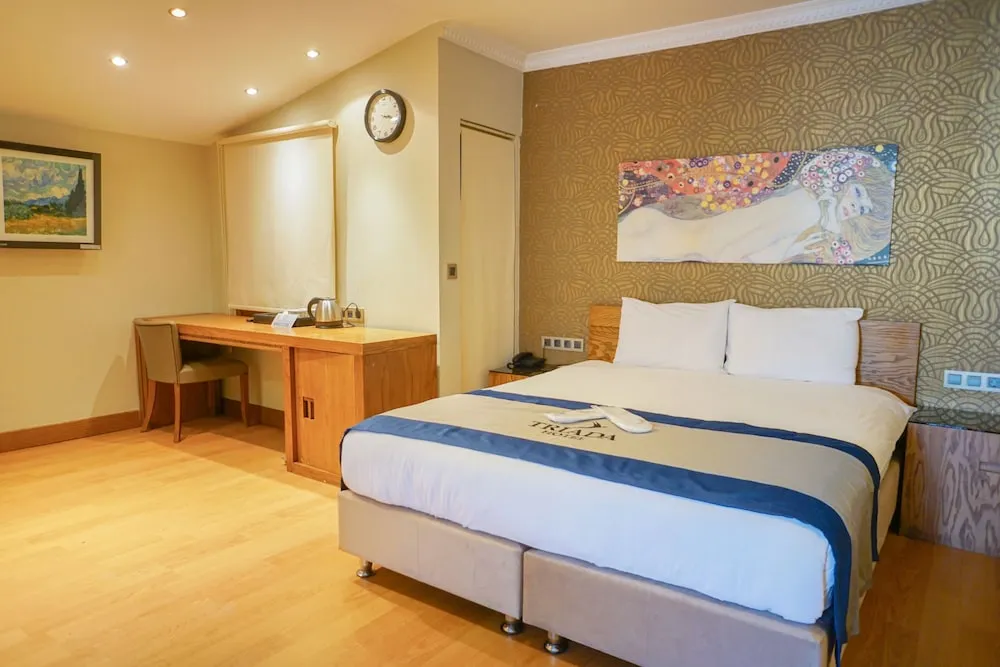 Executive Çatı Katı Süiti (Penthouse)