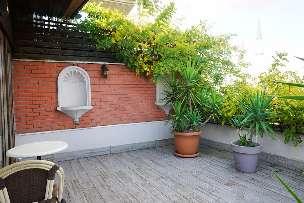 Executive Çatı Katı Süiti (Penthouse)