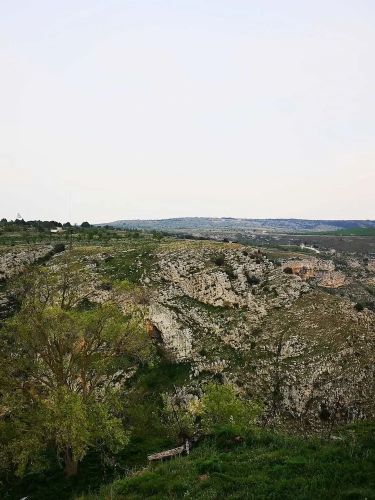 Dış mekân