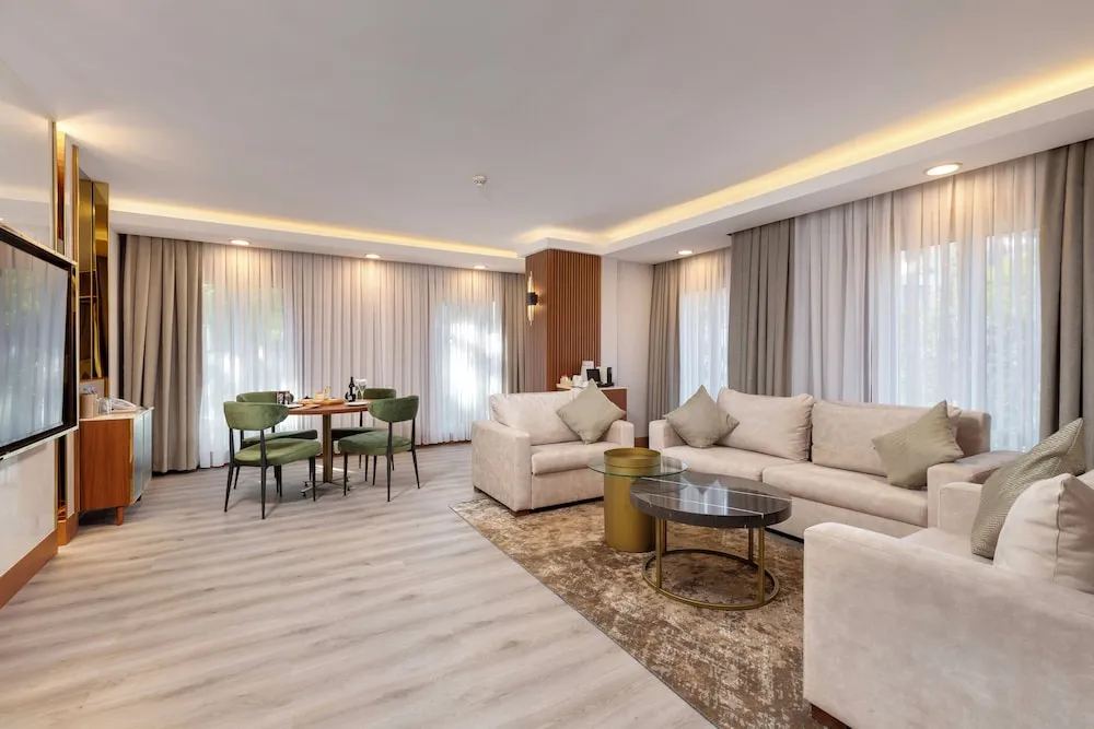 Executive Süit, 1 Yatak Odası