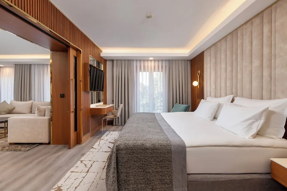 Executive Süit, 1 Yatak Odası