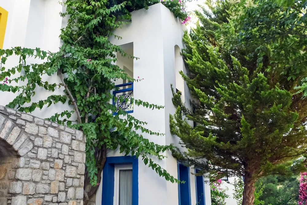 Family Villa