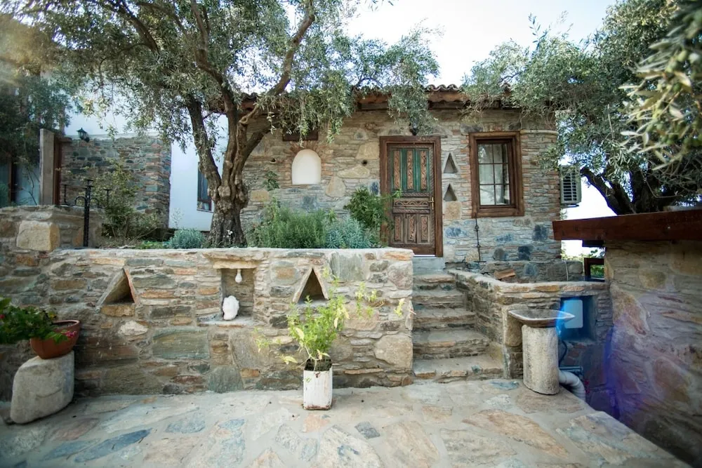 Standard Dağ Evi