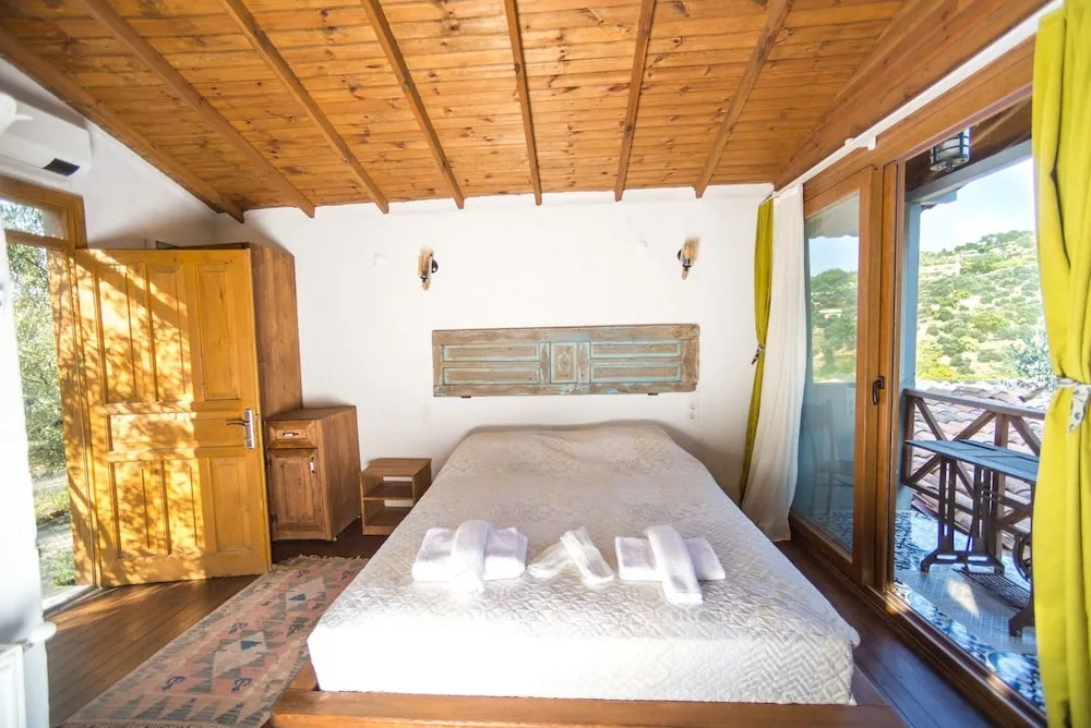 Standard Dağ Evi
