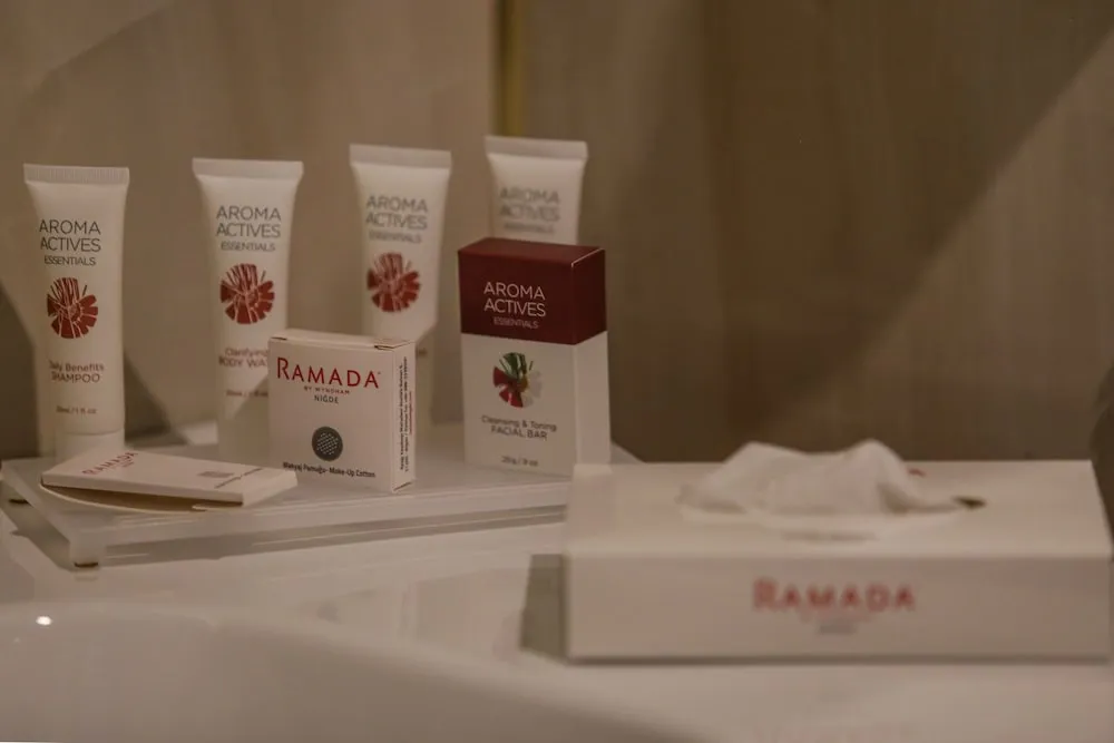 Süit, 1 En Büyük (King) Boy Yatak, Sigara İçilebilir