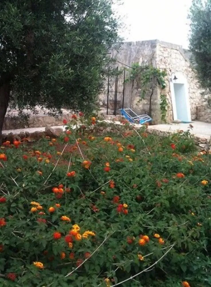 Bahçe