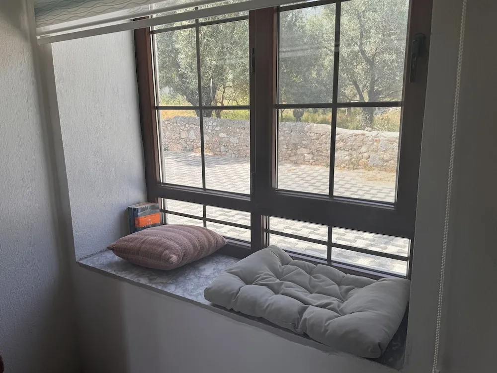 Basic Daire, 1 Yatak Odası