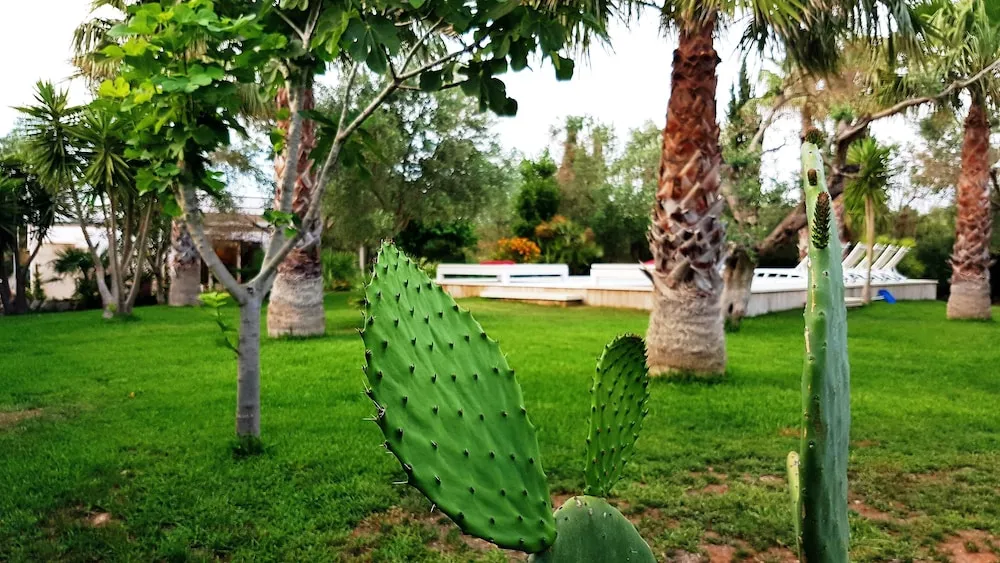 Bahçe