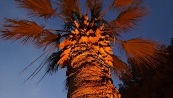 Ada Newday Resort Hotel