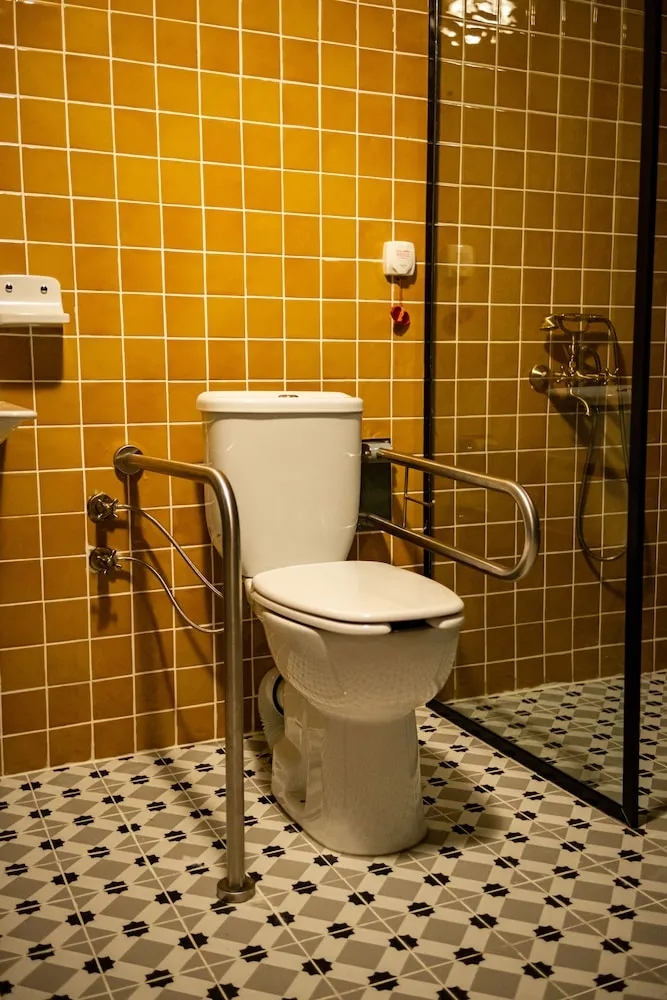 Deluxe Oda, Sigara İçilmez, Özel Banyo