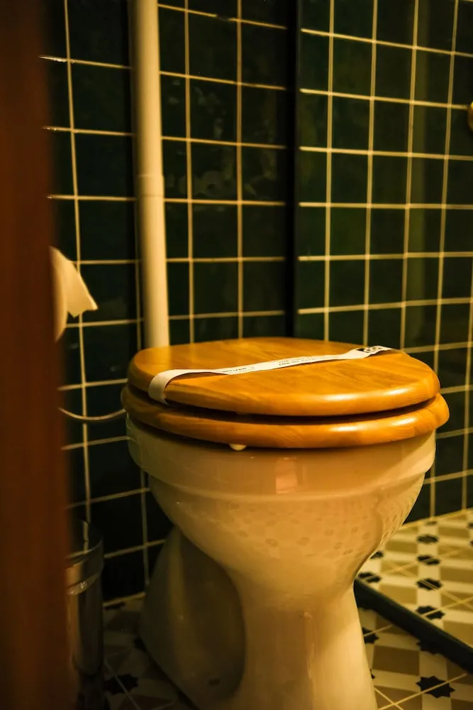 Deluxe Oda, Sigara İçilmez, Özel Banyo