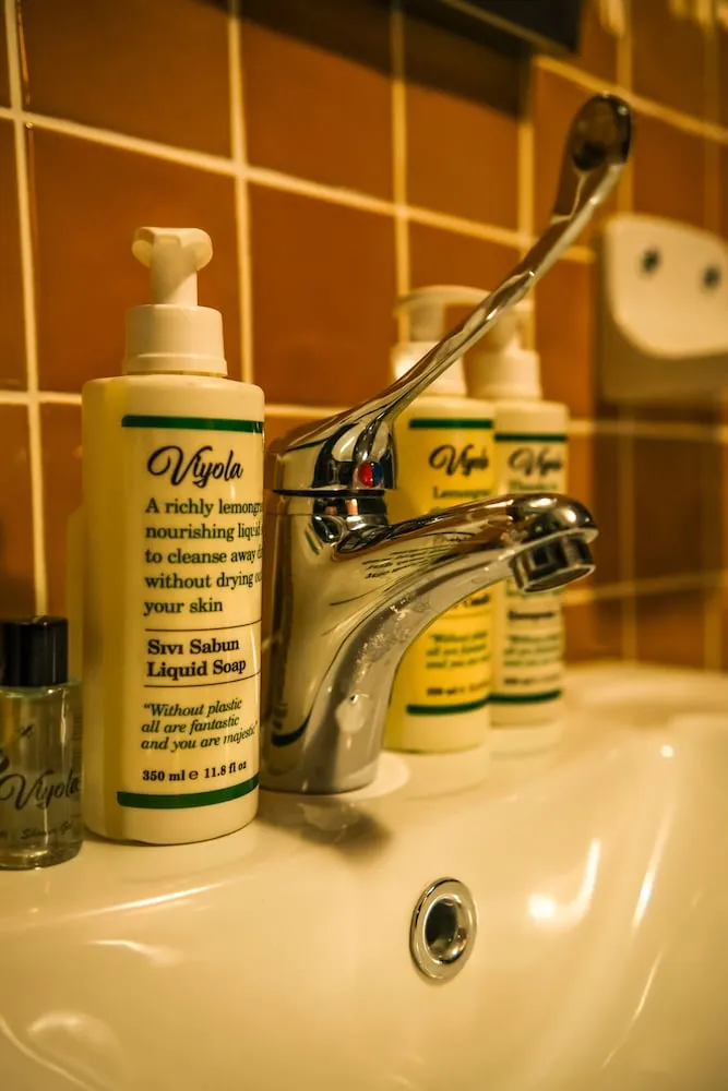 Deluxe Oda, Sigara İçilmez, Özel Banyo