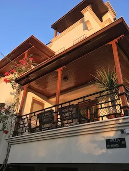Orange Garden