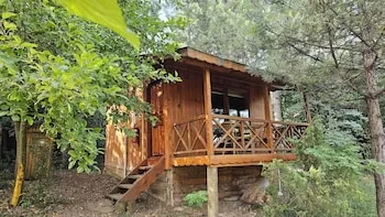 Nesilce Tatil Koyu