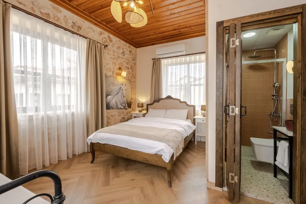 Deluxe Oda, 1 Büyük (Queen) Boy Yatak ve Çekyat, Sigara İçilmez (Economy)