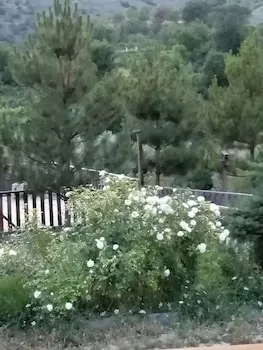 Oba Kütük Evleri