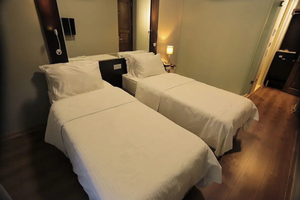 Deluxe İki Ayrı Yataklı Oda, Sigara İçilmez