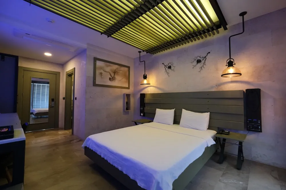 Deluxe Tek Büyük Yataklı Oda