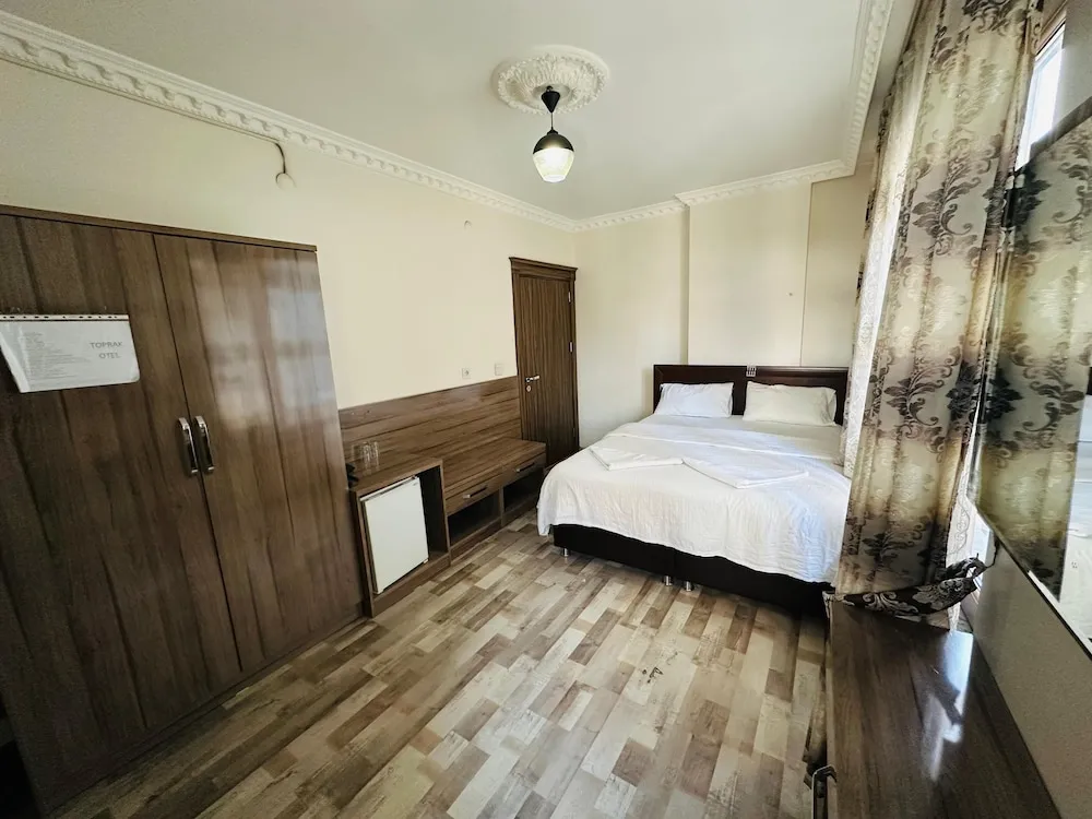 Deluxe Oda, 1 Büyük (Queen) Boy Yatak, Sigara İçilmez, Şehir Manzaralı