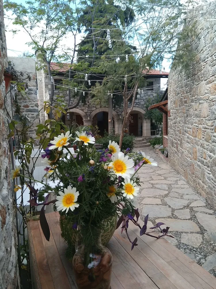 Stüdyo