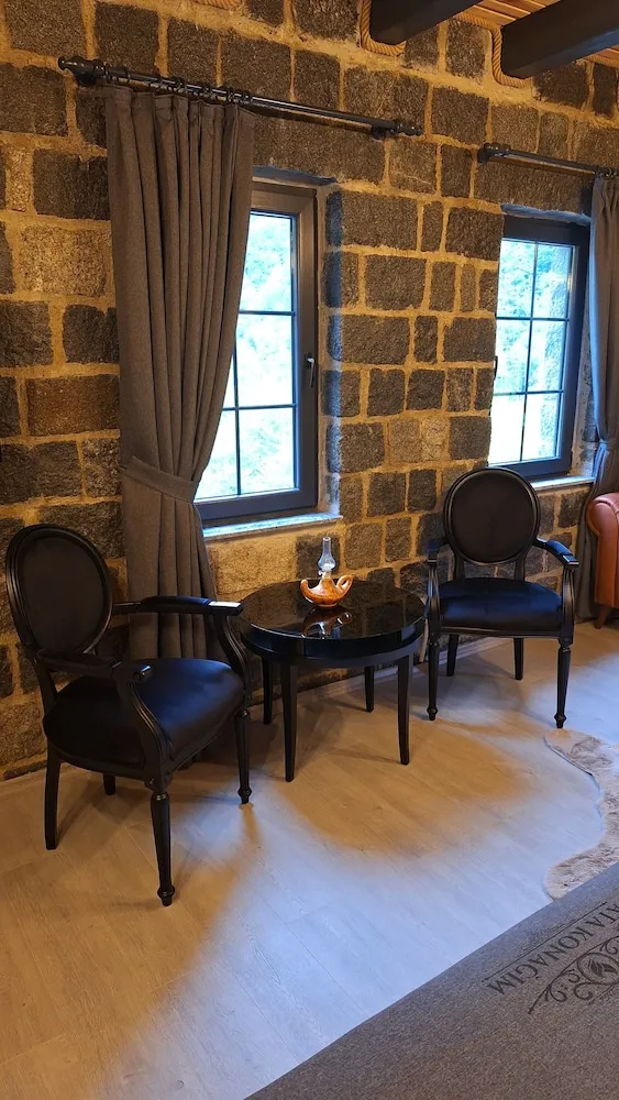 Business Tek Büyük Yataklı Oda, Dağ Manzaralı