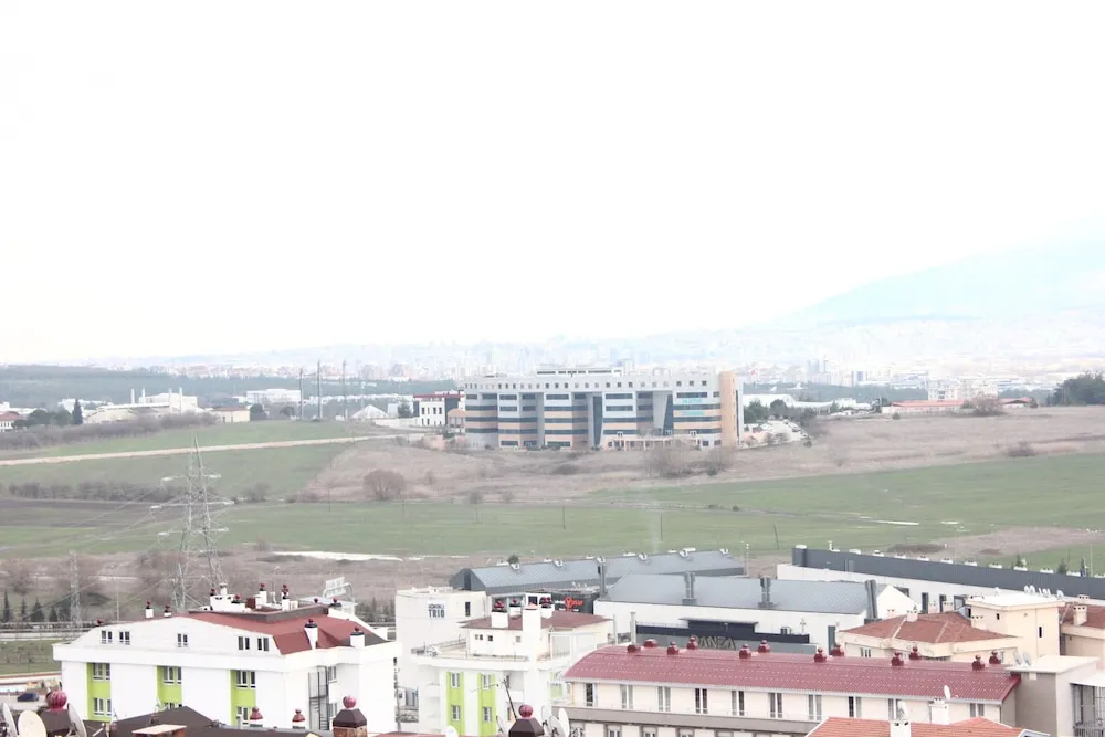 Executive Üç Kişilik Oda
