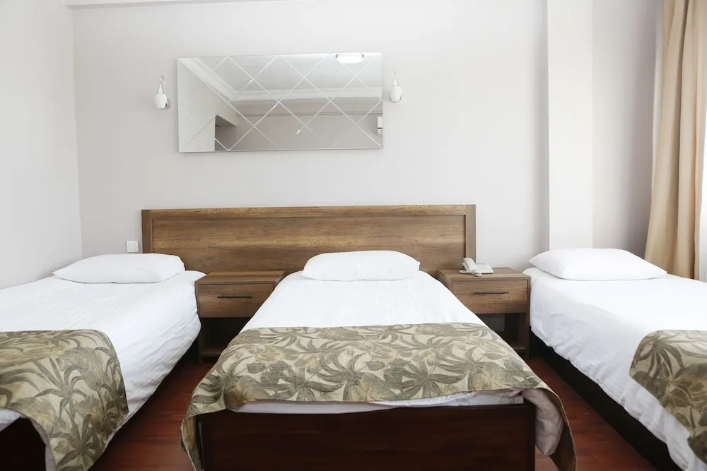Standard Üç Kişilik Oda, 3 Tek Kişilik Yatak, Sigara İçilmez, Şehir Manzaralı