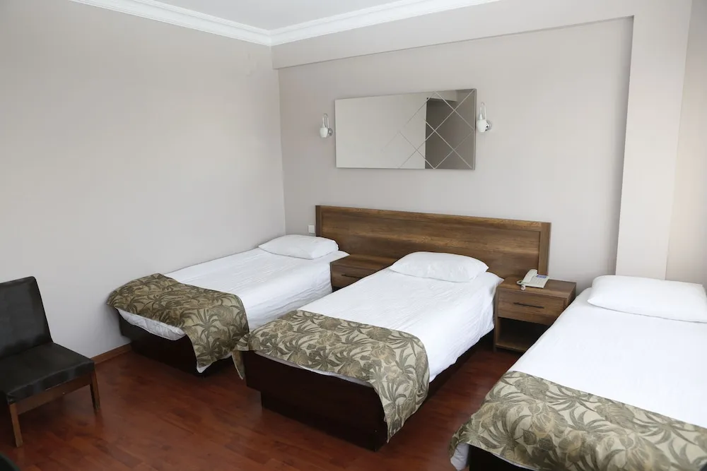 Standard Üç Kişilik Oda, 3 Tek Kişilik Yatak, Sigara İçilmez, Şehir Manzaralı
