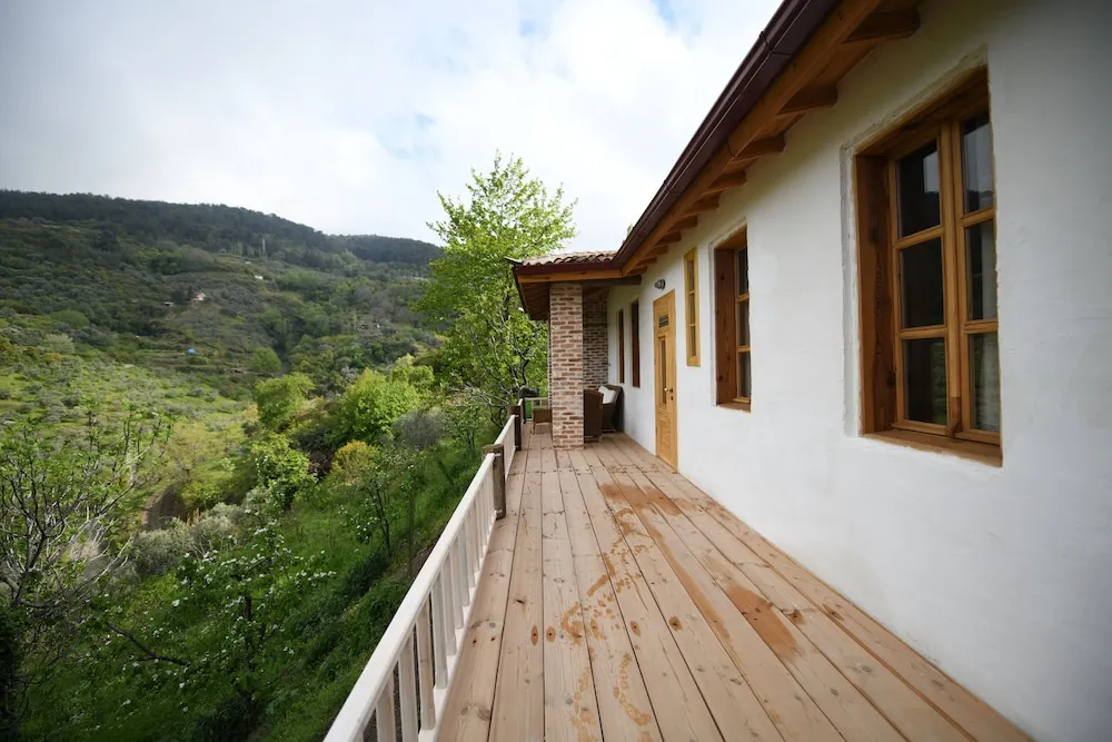 Traditional Kulübe, Dağ Manzaralı