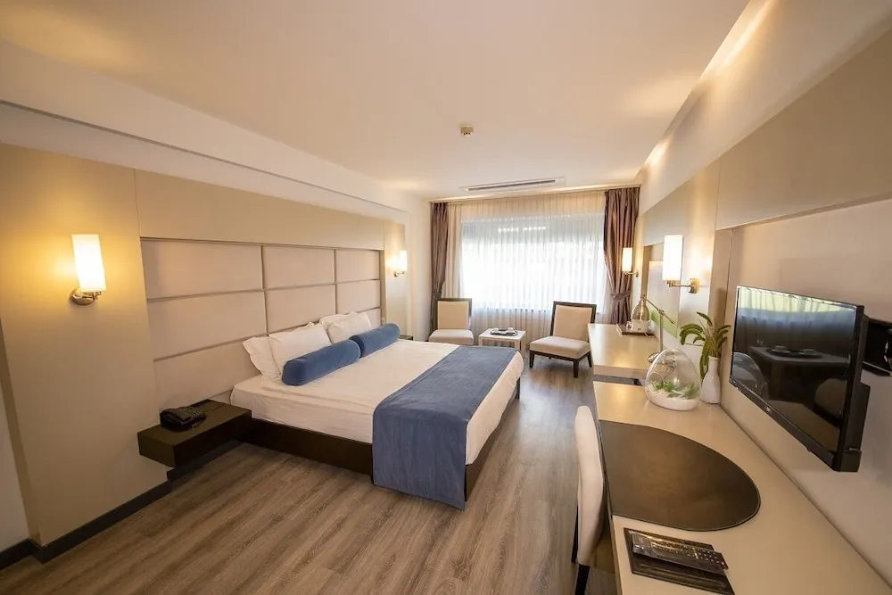 Deluxe Tek Büyük Yataklı Oda
