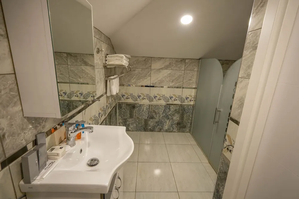 Business Çatı Katı Süiti (Penthouse)