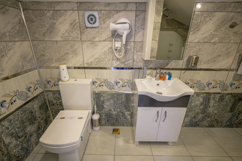Business Çatı Katı Süiti (Penthouse)